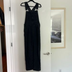 Free people ziggy denim overalls